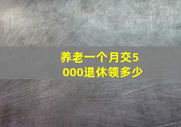 养老一个月交5000退休领多少