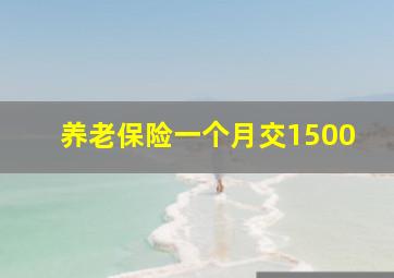 养老保险一个月交1500