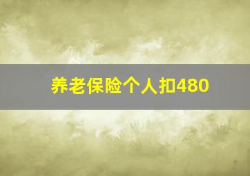 养老保险个人扣480