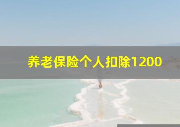 养老保险个人扣除1200