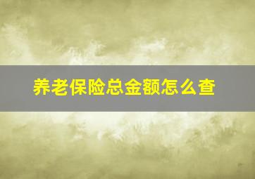 养老保险总金额怎么查