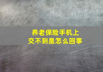 养老保险手机上交不到是怎么回事