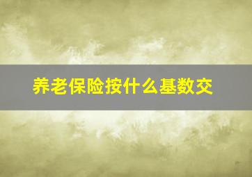 养老保险按什么基数交