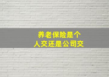 养老保险是个人交还是公司交