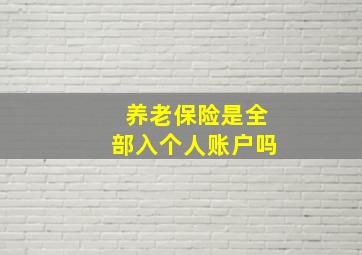 养老保险是全部入个人账户吗