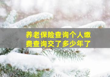 养老保险查询个人缴费查询交了多少年了