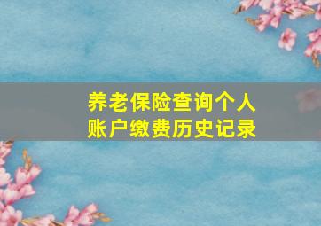 养老保险查询个人账户缴费历史记录