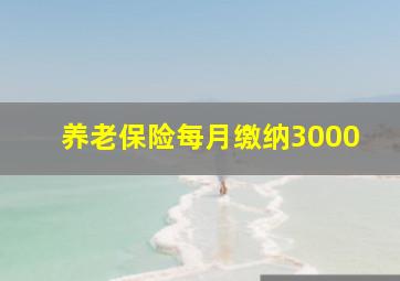 养老保险每月缴纳3000