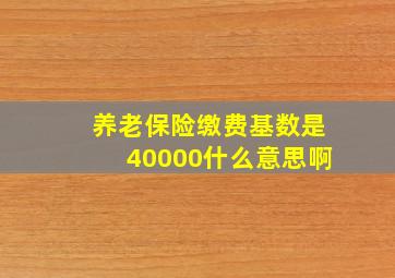 养老保险缴费基数是40000什么意思啊