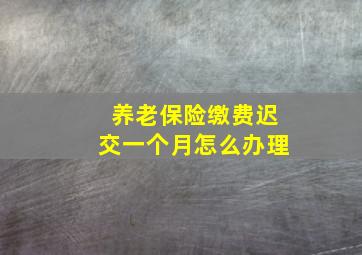 养老保险缴费迟交一个月怎么办理