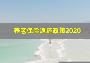 养老保险返还政策2020