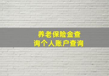 养老保险金查询个人账户查询