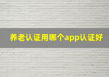 养老认证用哪个app认证好