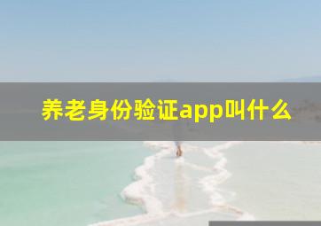 养老身份验证app叫什么