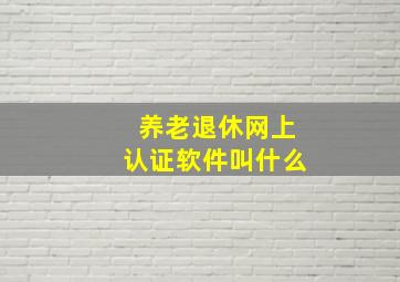 养老退休网上认证软件叫什么