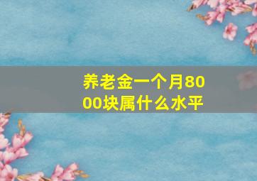 养老金一个月8000块属什么水平