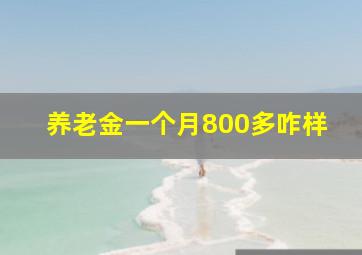 养老金一个月800多咋样