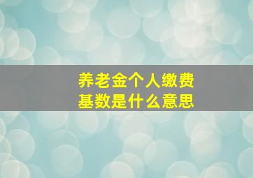 养老金个人缴费基数是什么意思