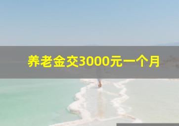 养老金交3000元一个月