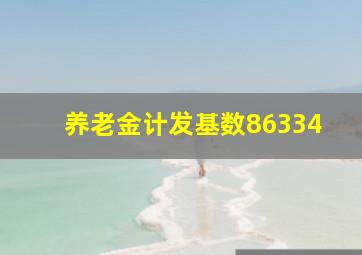 养老金计发基数86334