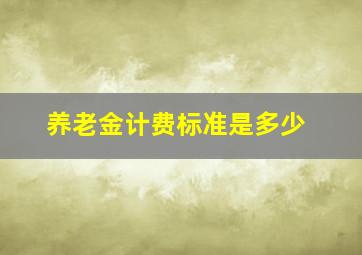 养老金计费标准是多少