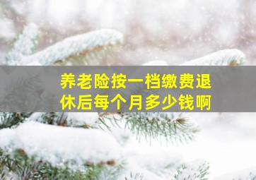 养老险按一档缴费退休后每个月多少钱啊