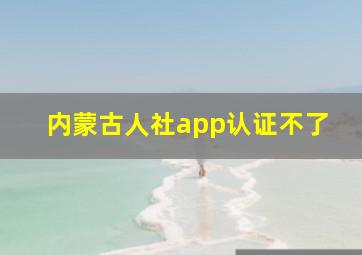 内蒙古人社app认证不了