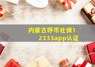 内蒙古呼市社保12333app认证