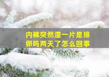 内裤突然湿一片是排卵吗两天了怎么回事