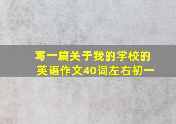 写一篇关于我的学校的英语作文40词左右初一