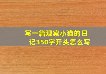 写一篇观察小猫的日记350字开头怎么写