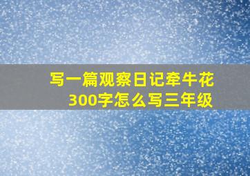 写一篇观察日记牵牛花300字怎么写三年级