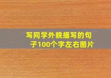 写同学外貌描写的句子100个字左右图片