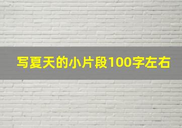 写夏天的小片段100字左右