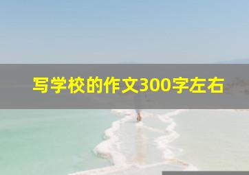 写学校的作文300字左右