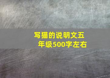 写猫的说明文五年级500字左右