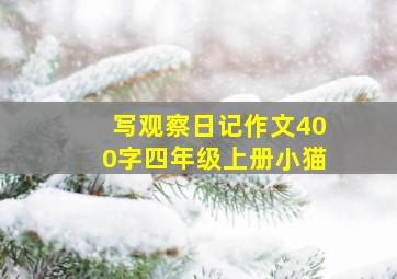 写观察日记作文400字四年级上册小猫