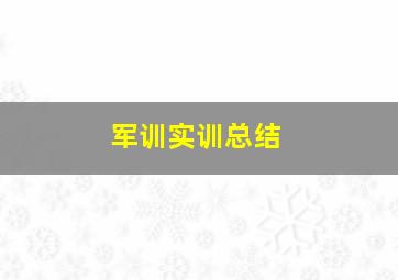 军训实训总结