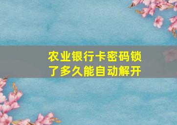 农业银行卡密码锁了多久能自动解开