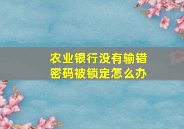 农业银行没有输错密码被锁定怎么办