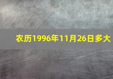 农历1996年11月26日多大