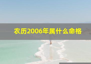 农历2006年属什么命格