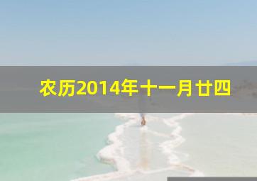 农历2014年十一月廿四