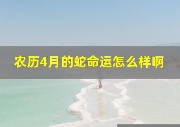 农历4月的蛇命运怎么样啊