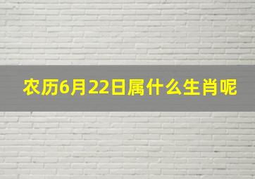 农历6月22日属什么生肖呢