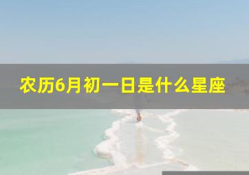 农历6月初一日是什么星座