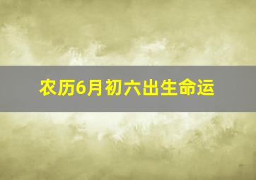 农历6月初六出生命运