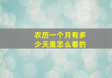 农历一个月有多少天是怎么看的