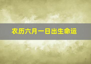 农历六月一日出生命运