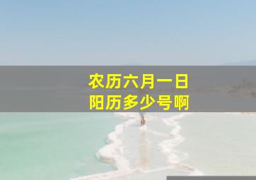 农历六月一日阳历多少号啊